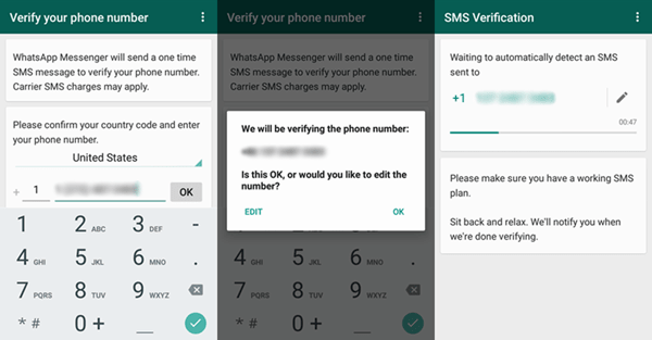 WhatsApp login and verification screenshots