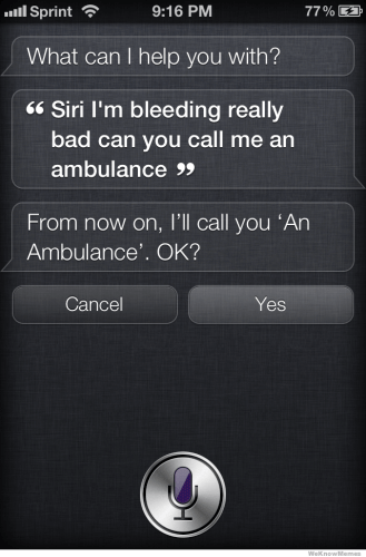 Bot's fail (Siri)