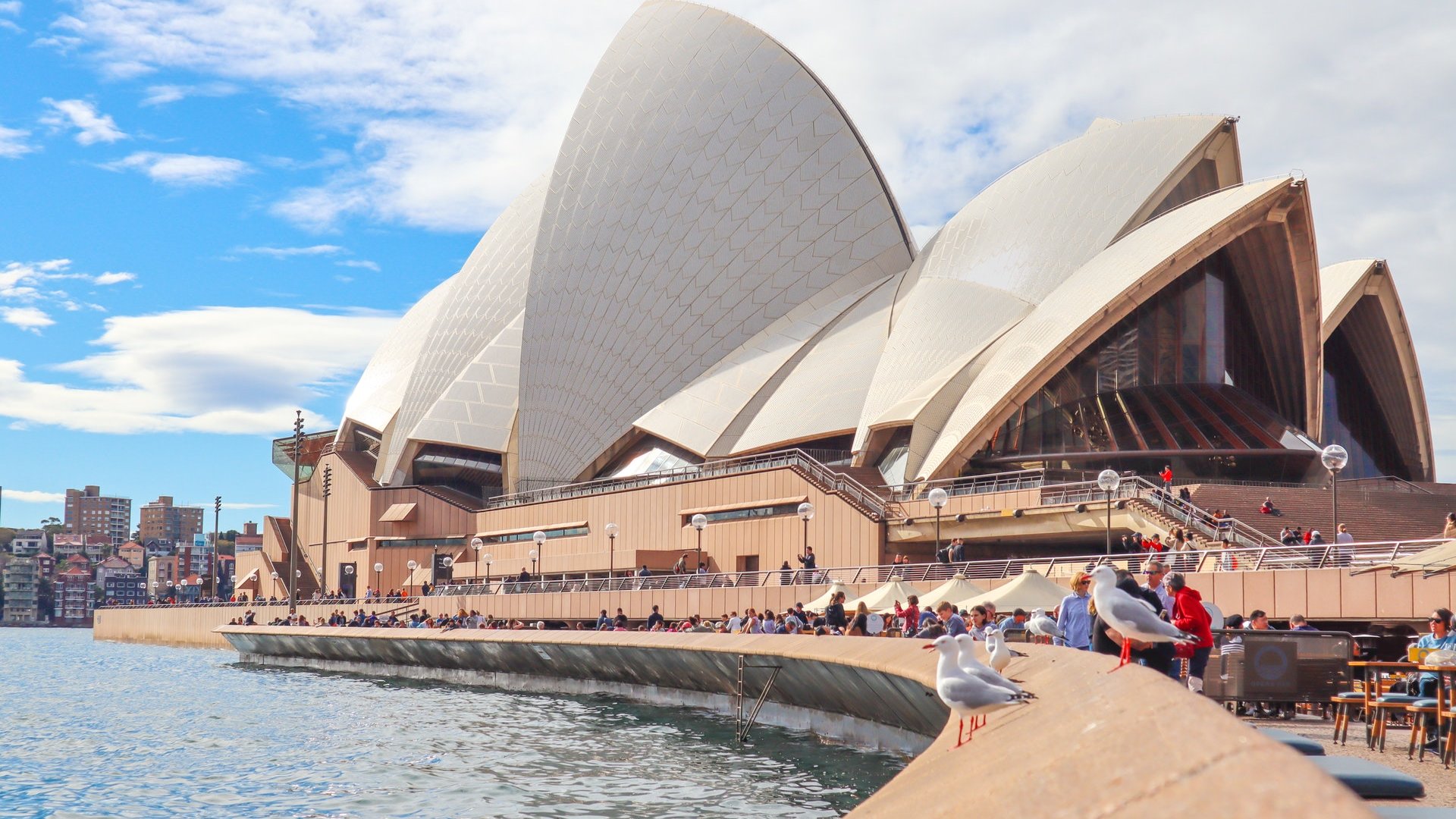 construction project management of opera house