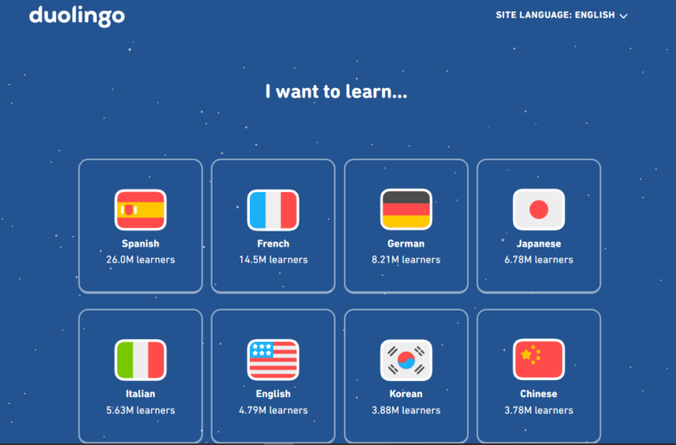 E-learning platform design