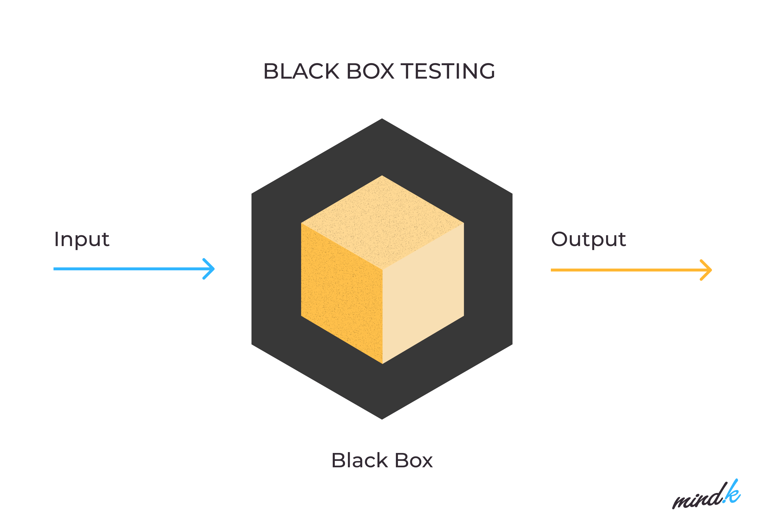 Black box testing