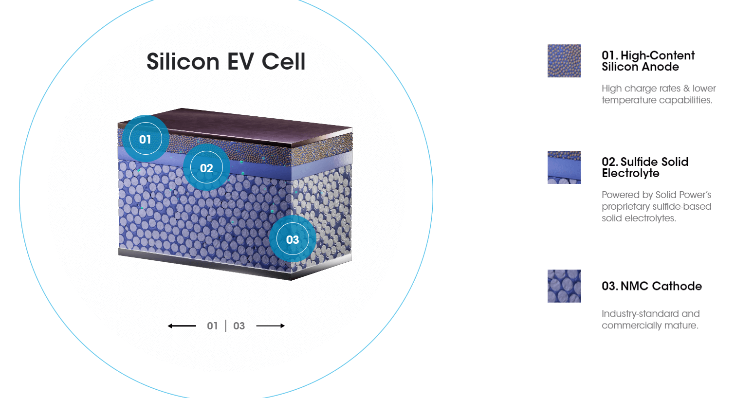 silicon cells structure