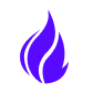 FHIR-py