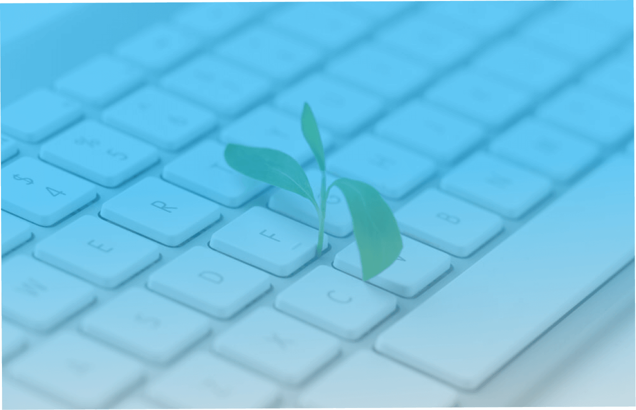 Header Images