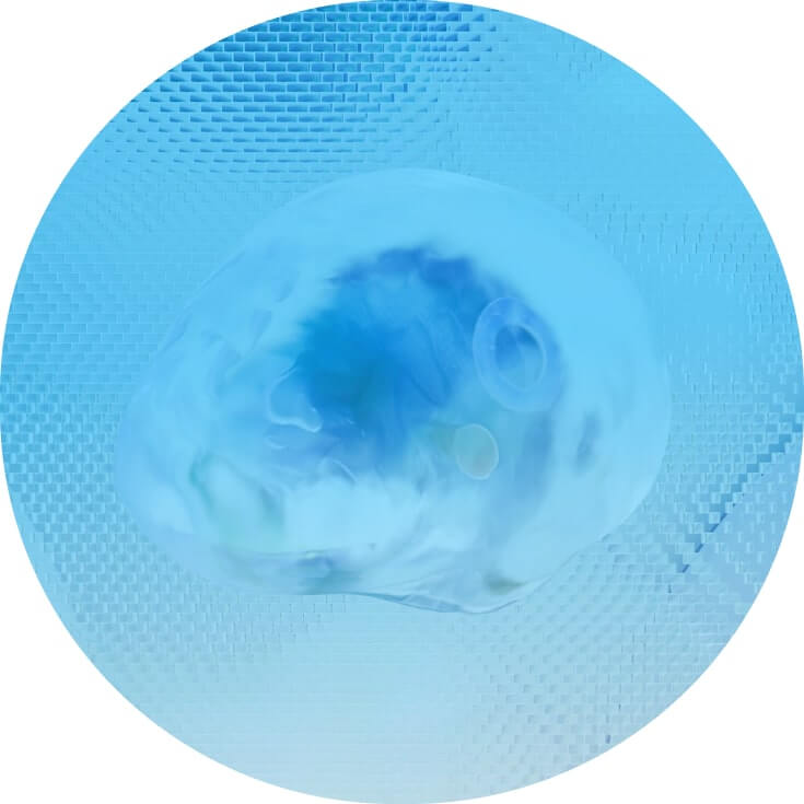 Header Images