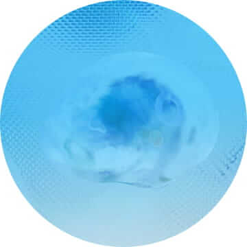Header Images