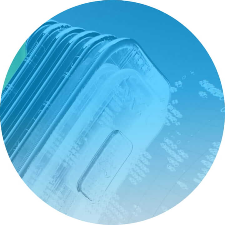 Header Images