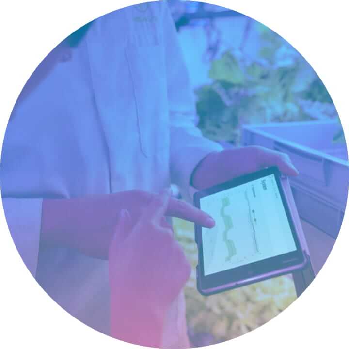 Header Images